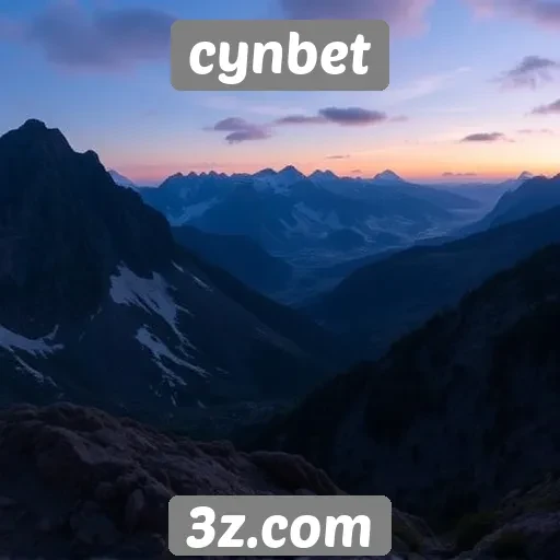 Opinião de usuários sobre a experiência no cynbet